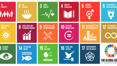 sdg's sdg's