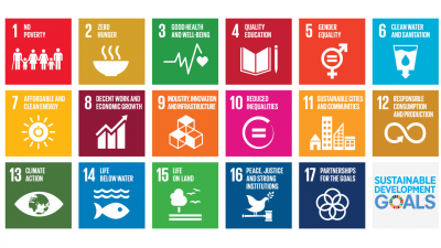 Sustainable Development Goals Sustainable Development Goals